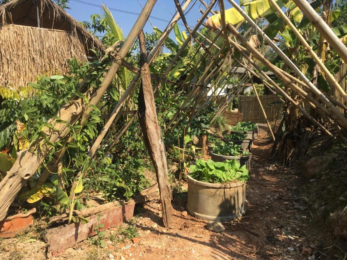 Thong Family Homestay Chiangdao Chiang Dao Buitenkant foto