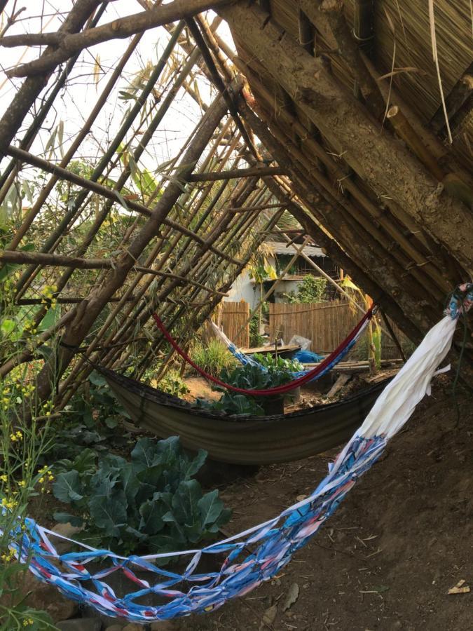 Thong Family Homestay Chiangdao Chiang Dao Buitenkant foto