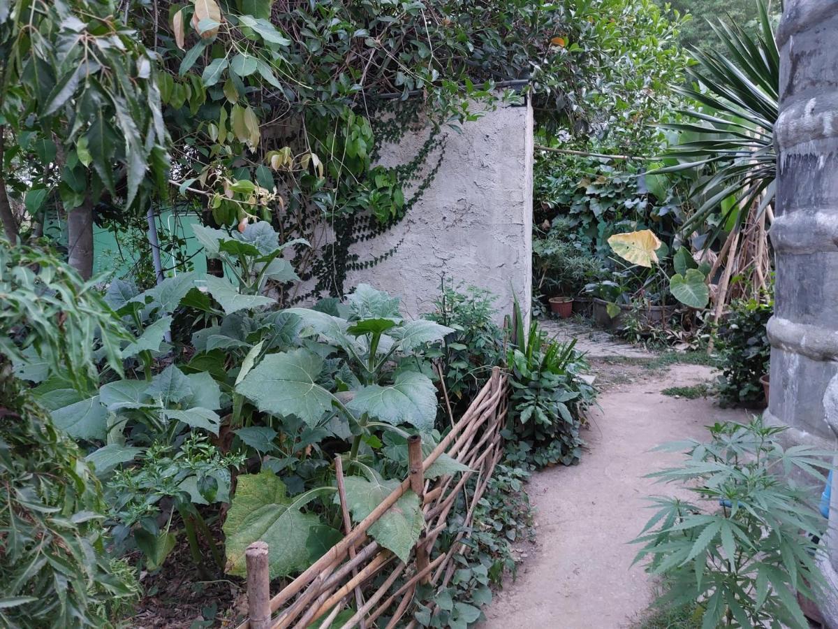 Thong Family Homestay Chiangdao Chiang Dao Buitenkant foto