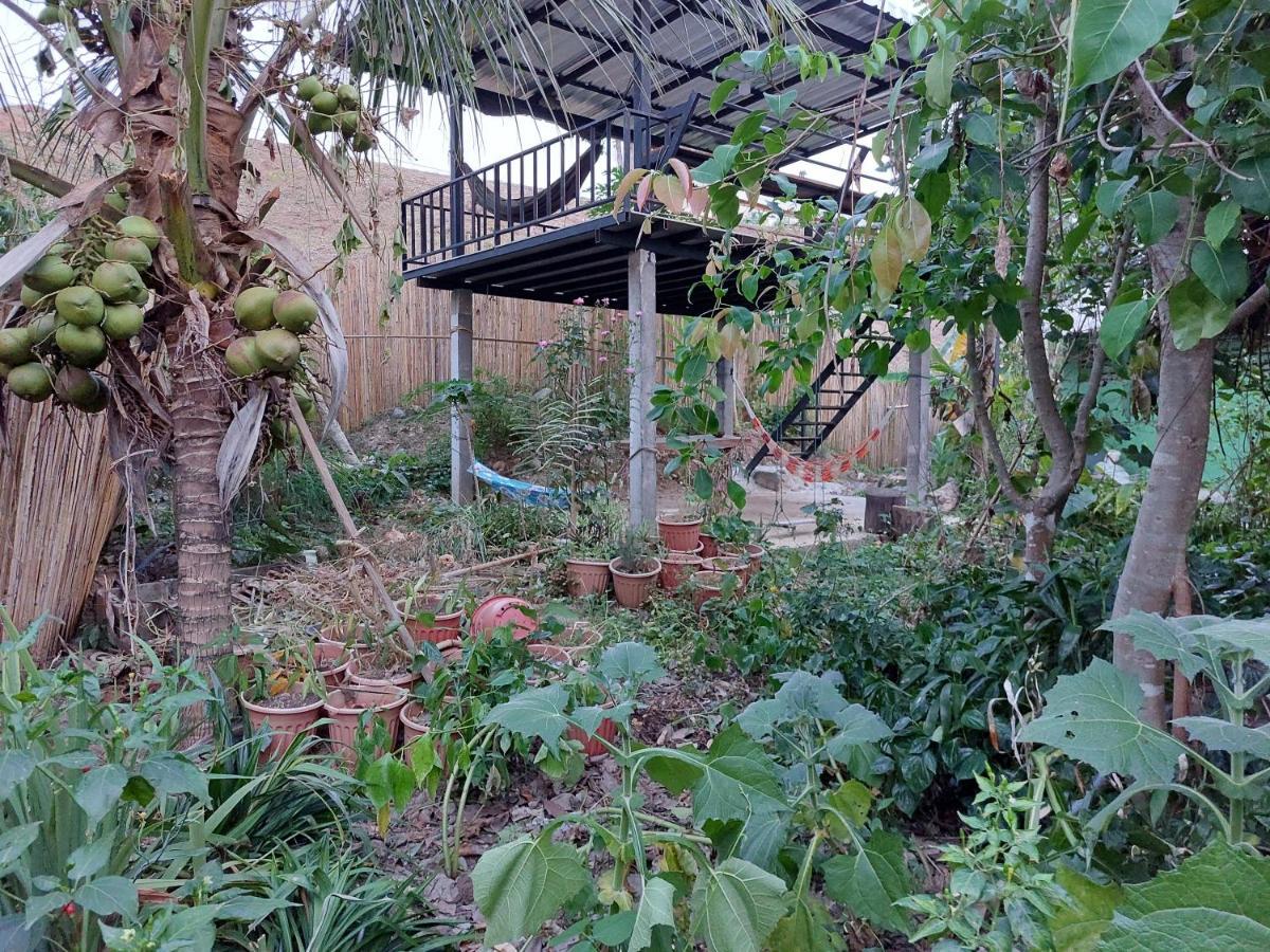 Thong Family Homestay Chiangdao Chiang Dao Buitenkant foto